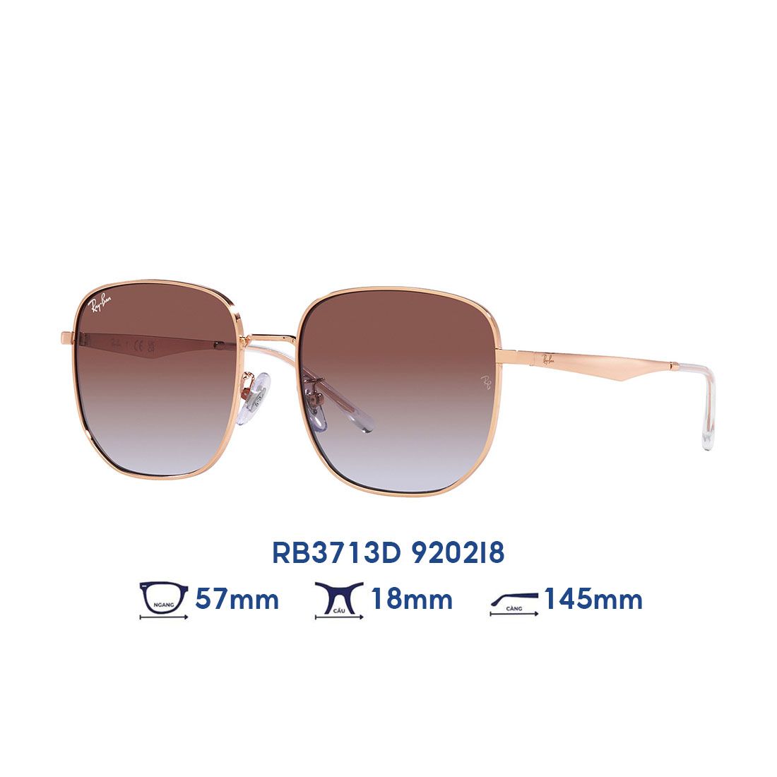 Kính mát Ray-Ban RB3713D 9202I8