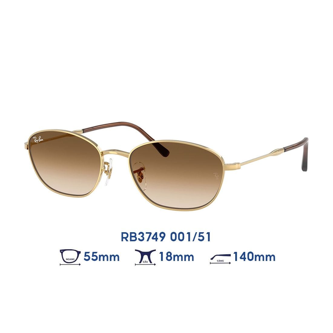 Kính mát RAYBAN RB3749 001/51
