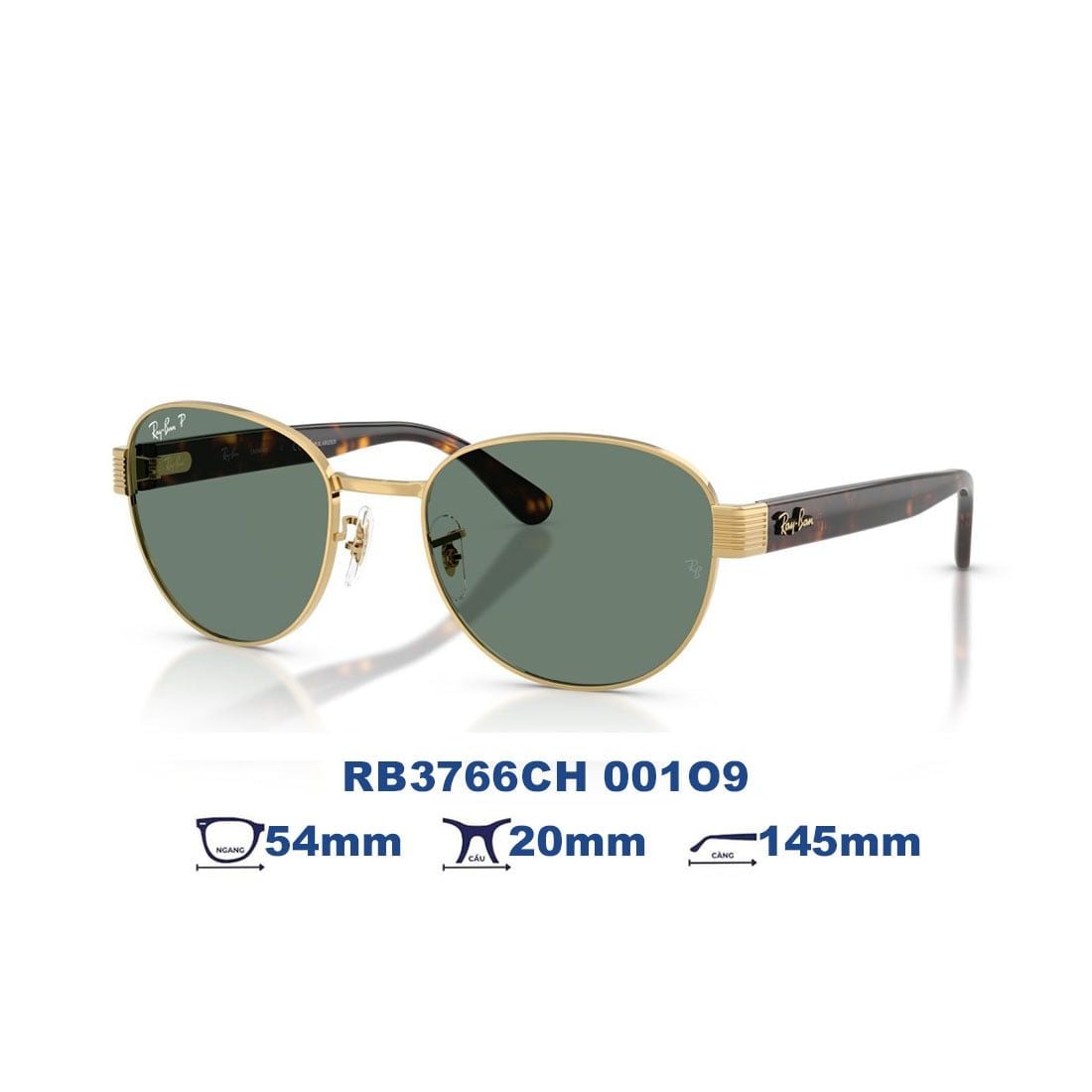  Kính mát RAYBAN RB3766CH 001/O9 