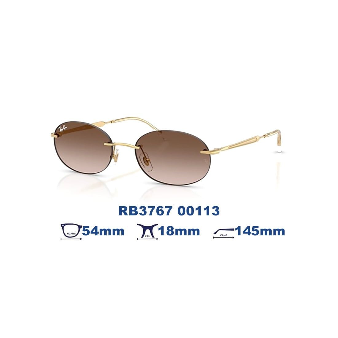  Kính mát RAYBAN RB3767 00113 