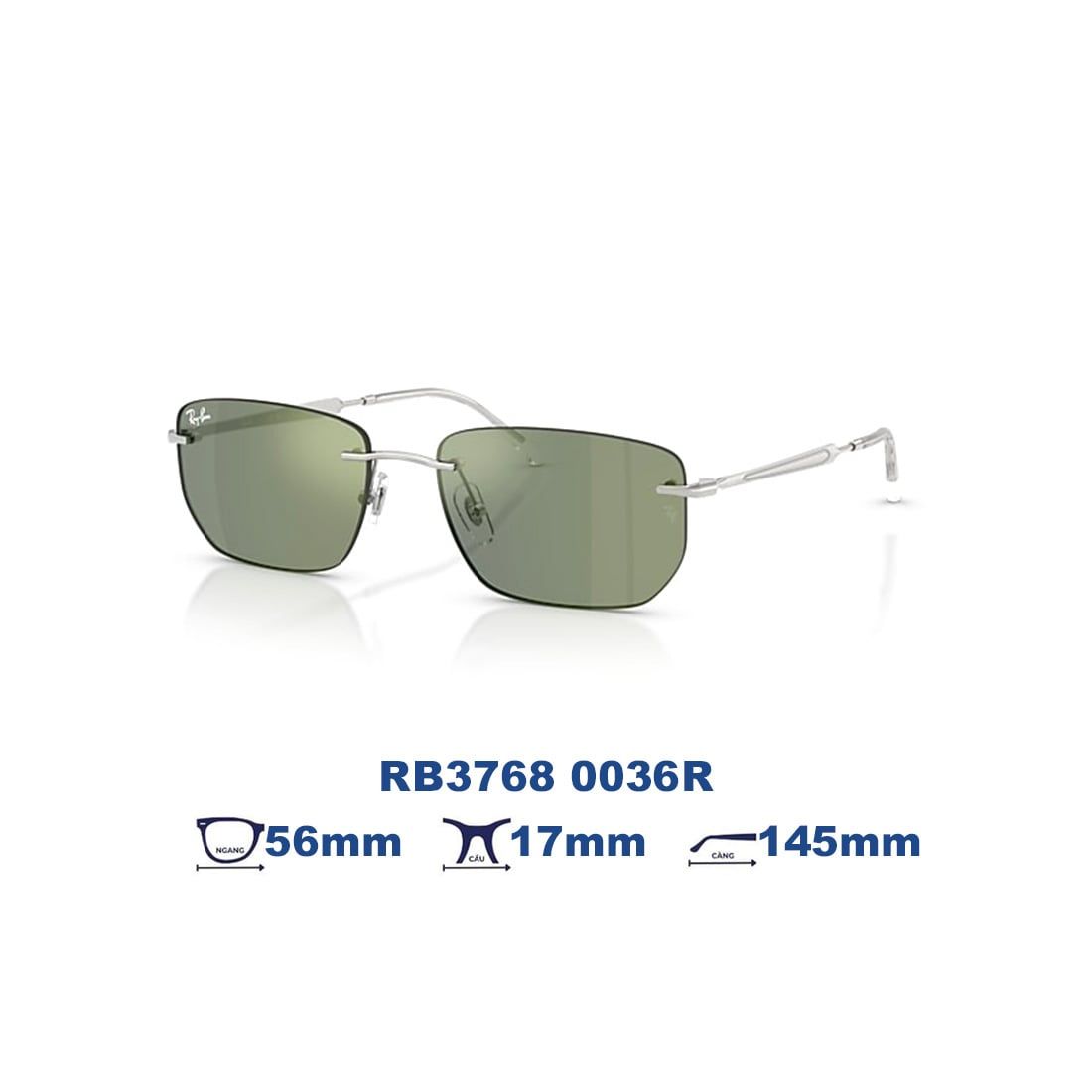  Kính mát RAYBAN RB3768 0036R 