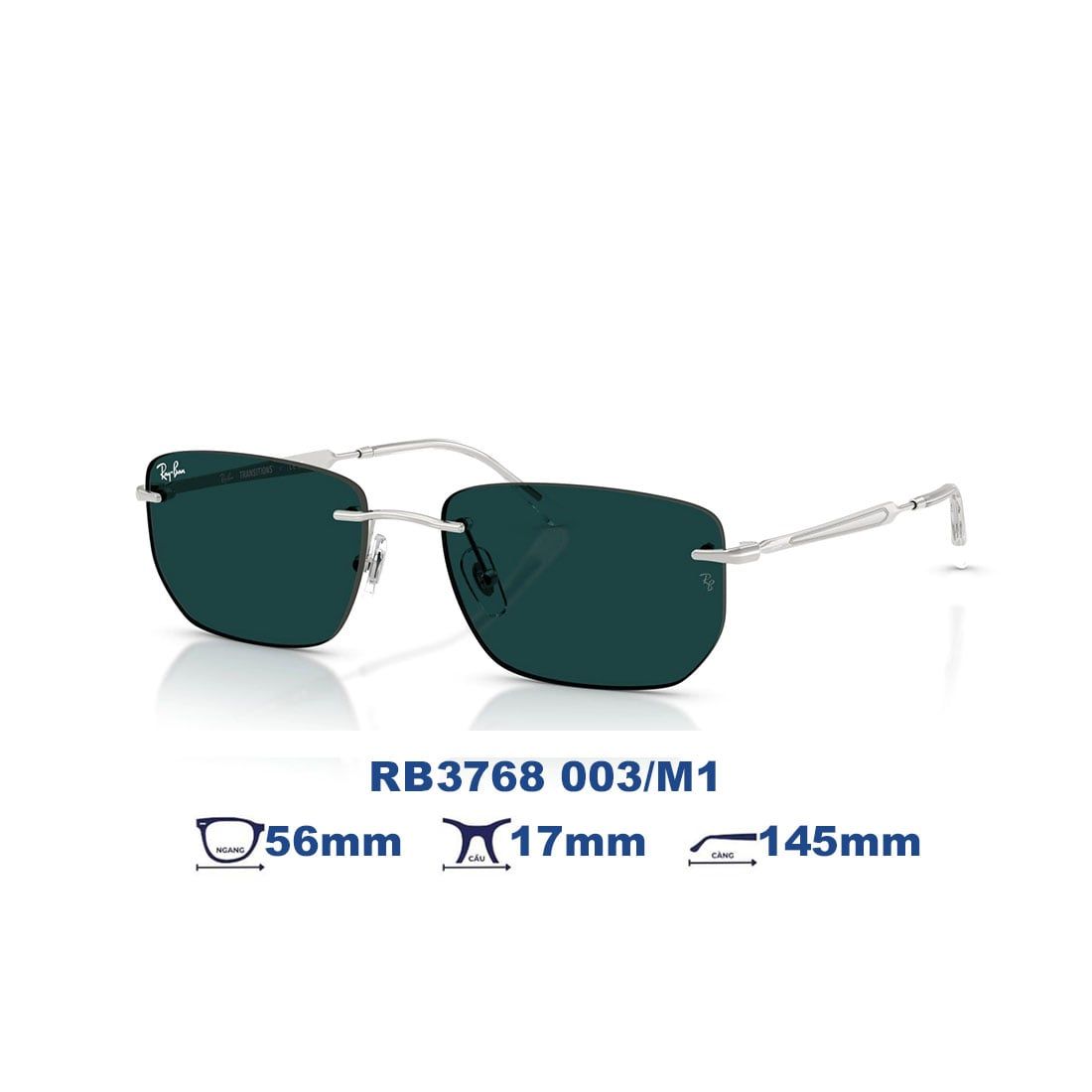  Kính mát RAYBAN RB3768 003/M1 