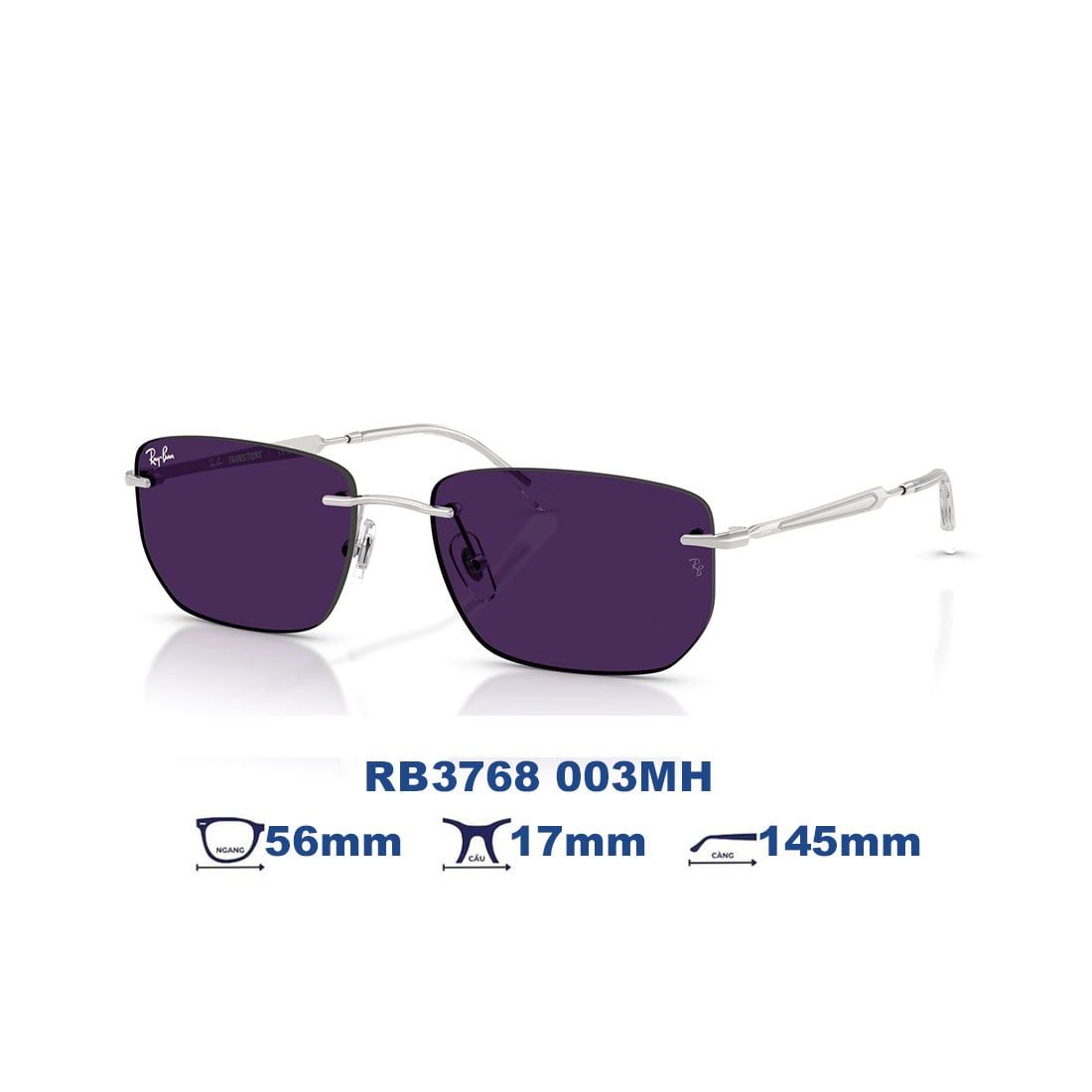 Kính mát RAYBAN RB3768 003/MH