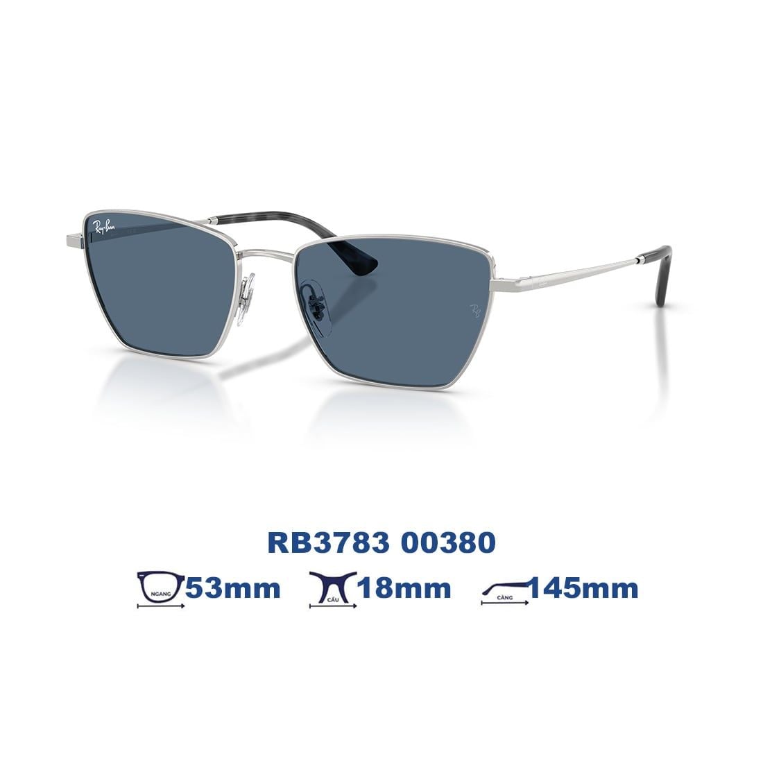 Kính mát RAYBAN RB3783 00380