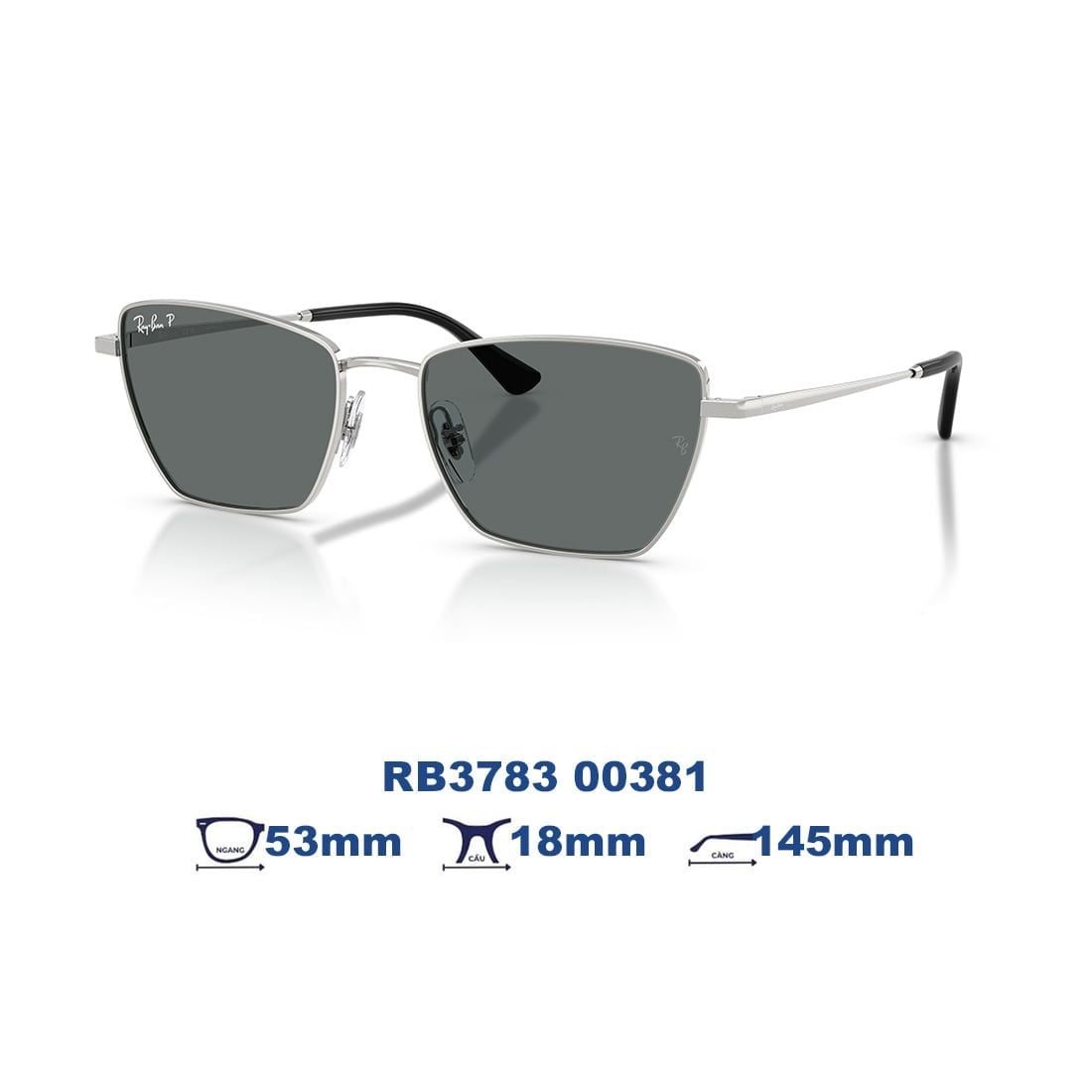 Kính mát RAYBAN RB3783 00381