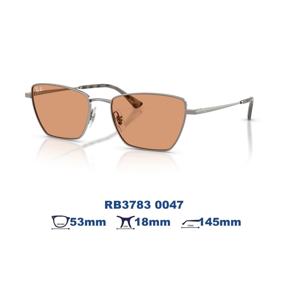 Kính mát RAYBAN RB3783 0047