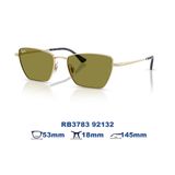 Kính mát RAYBAN RB3783 92132