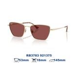 Kính mát RAYBAN RB3783 921375