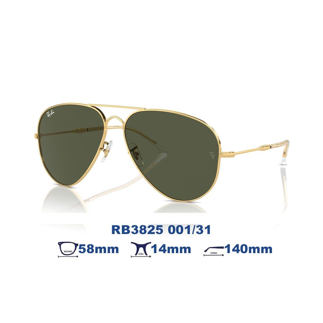  Kính mát RAYBAN RB3825 001/31 