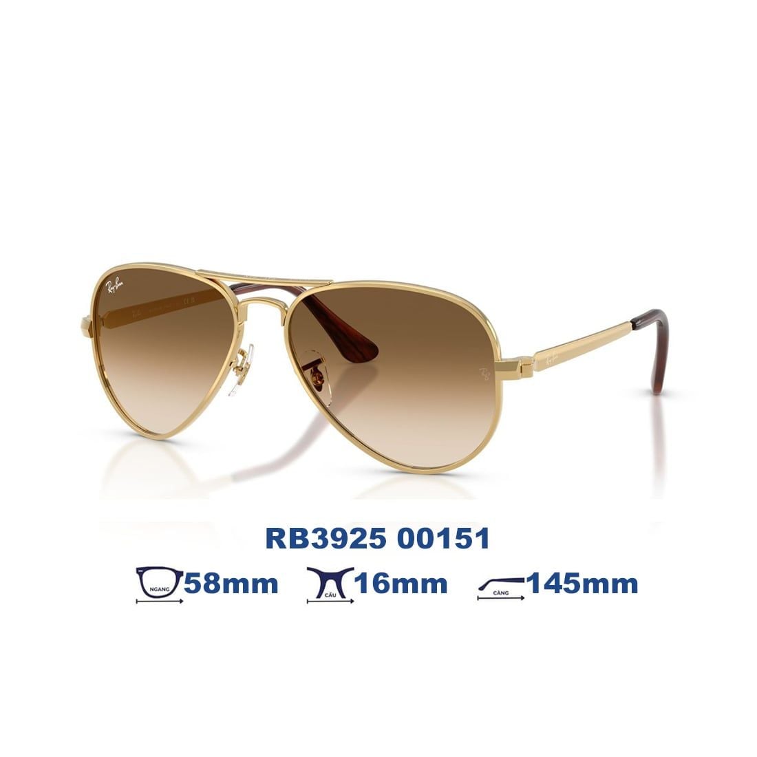  Kính mát RAYBAN RB3925 001/51 