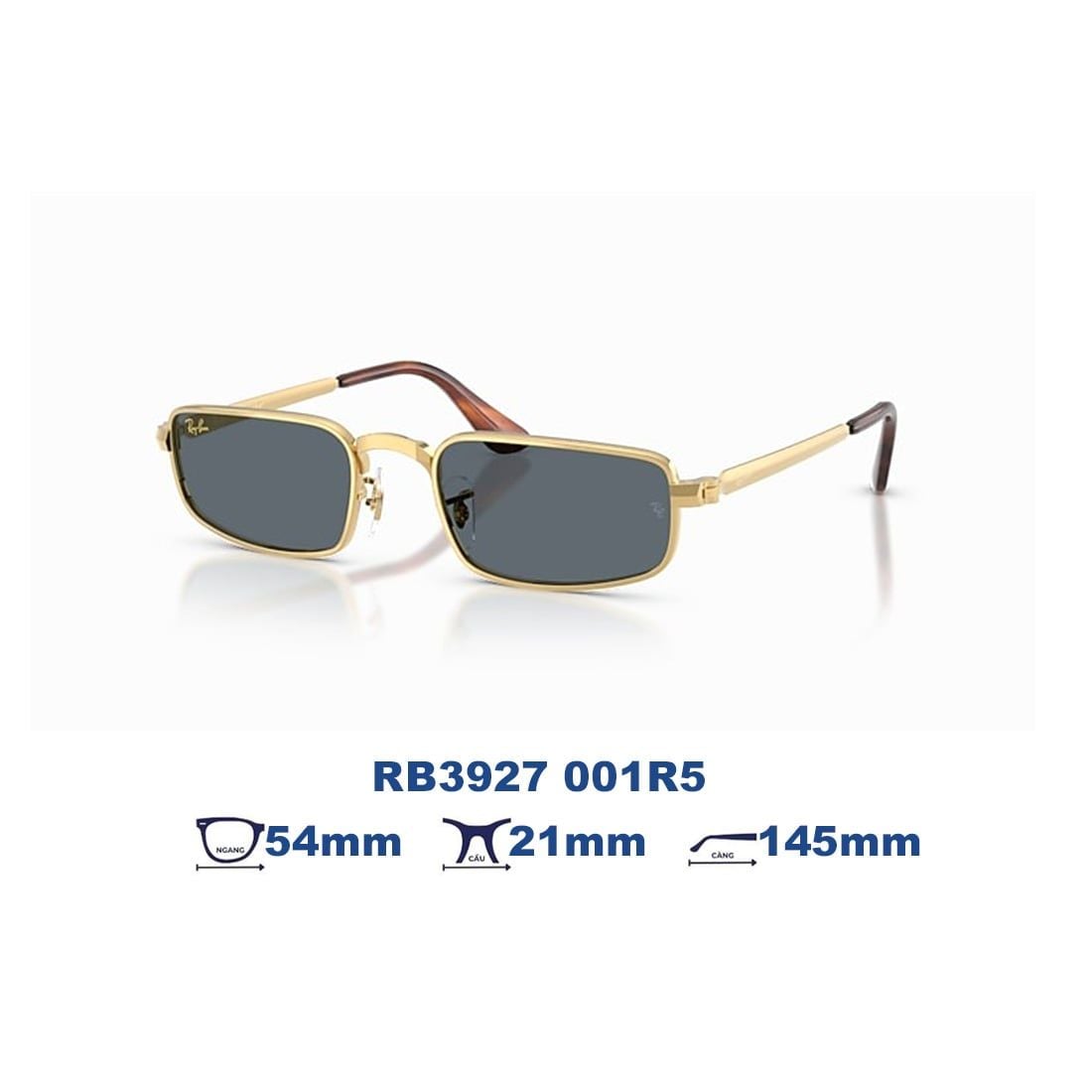  Kính mát RAYBAN RB3927 001R5 