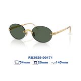 Kính mát RAYBAN RB3929 00171