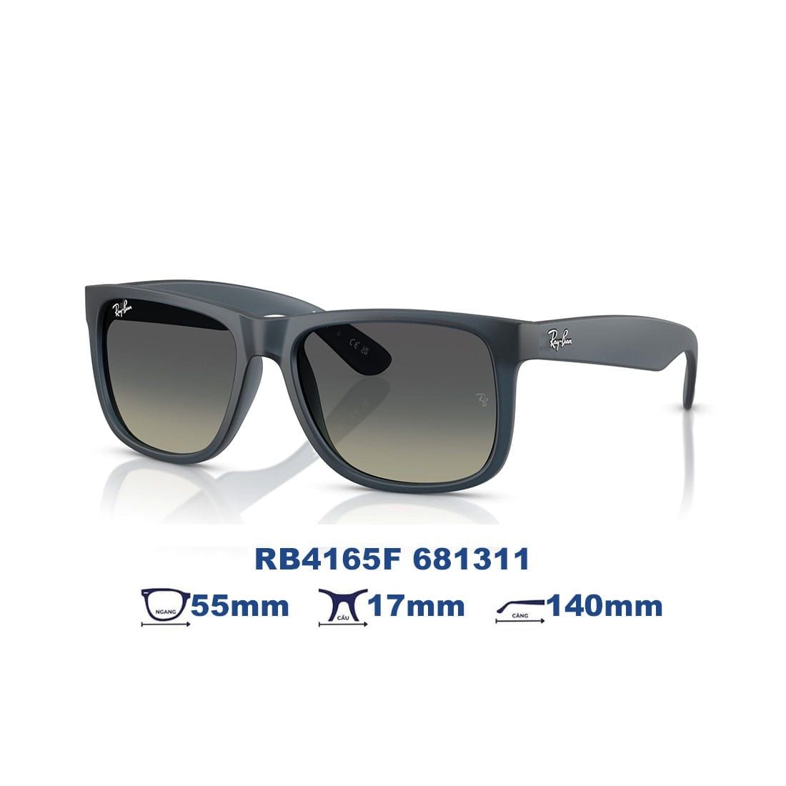  Kính mát RAYBAN RB4165F 681311 