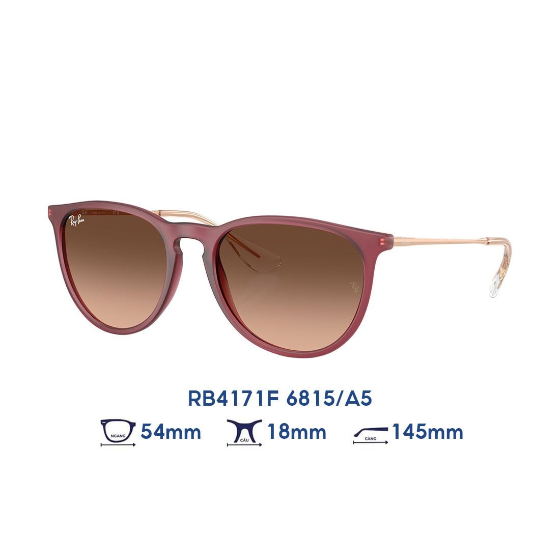 Kính mát Rayban Erika Classic RB4171F 6815/A5