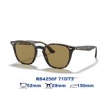  Kính mát RAYBAN RB4258F 710/73 
