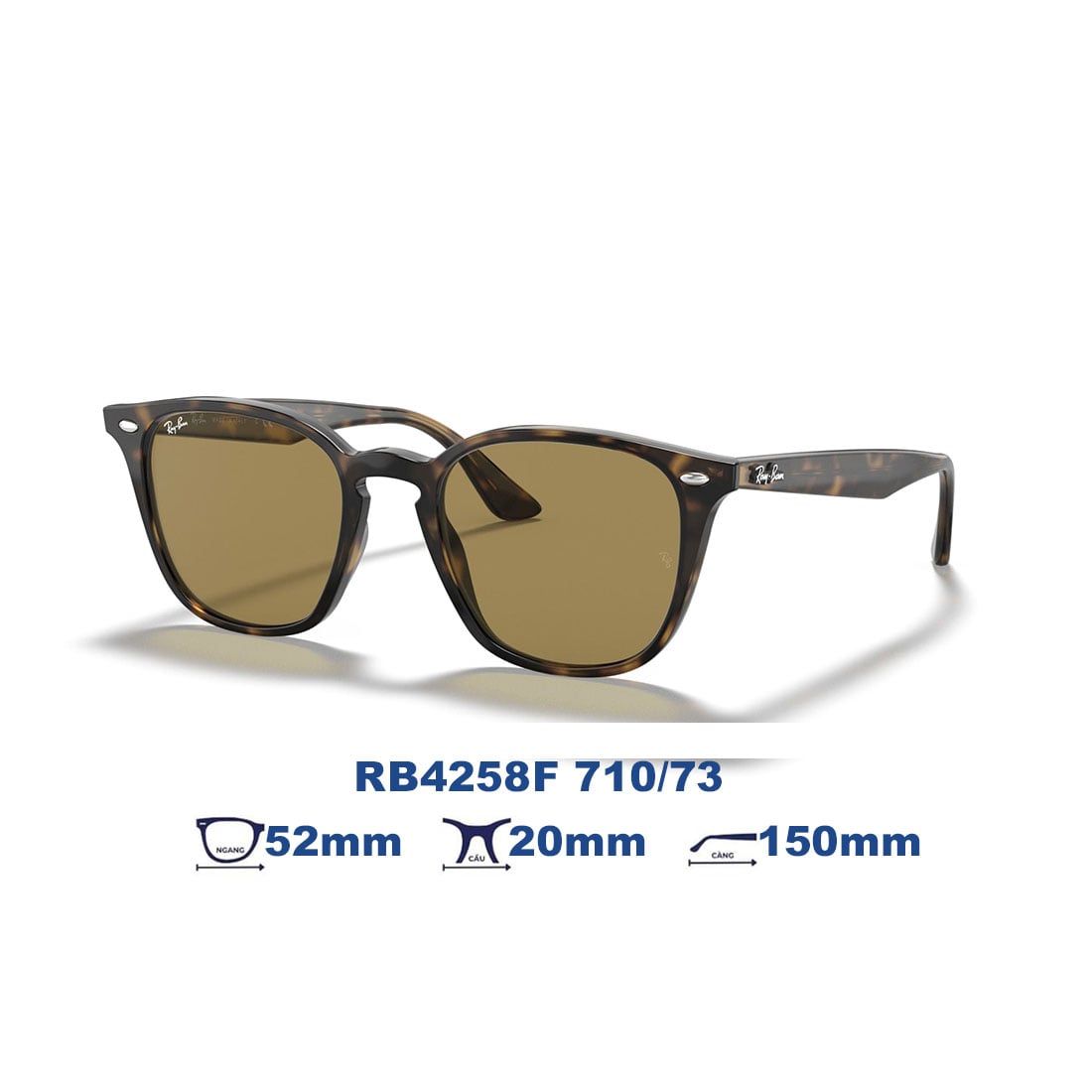  Kính mát RAYBAN RB4258F 710/73 