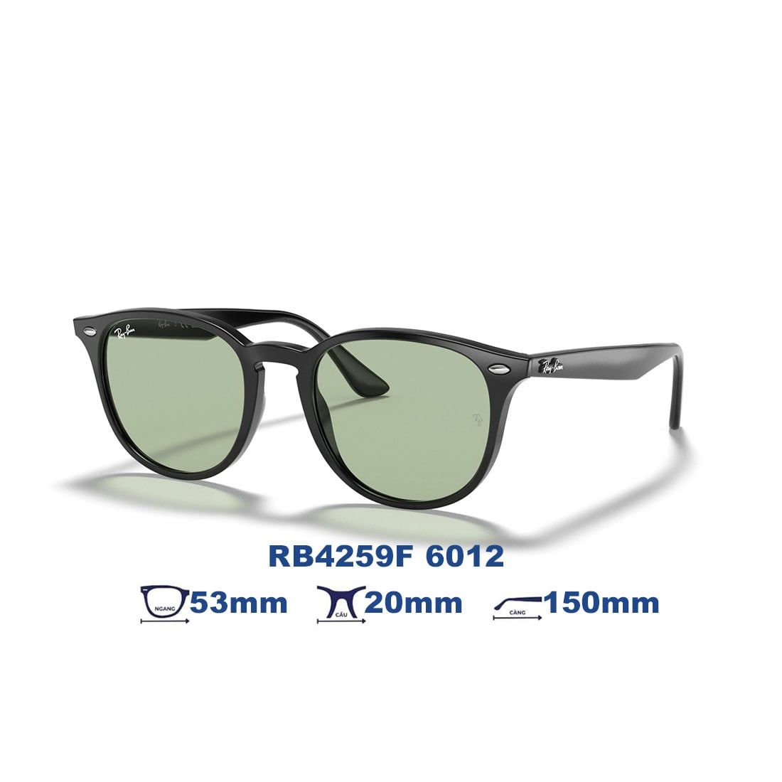  Kính mát RAYBAN RB4259F 6012 