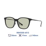 Kính mát RAYBAN RB4333D 6012