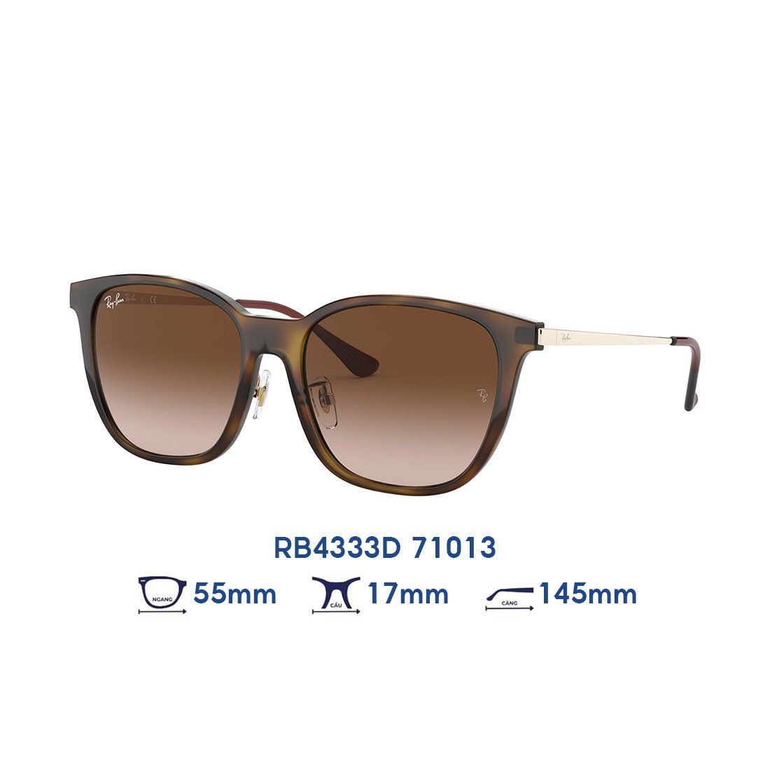 Kính mát Ray-Ban RB4333D 710/13 nâu đồi mồi chính hãng | Mắt kính