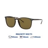 Kính mát RAYBAN RB4387F 902/73
