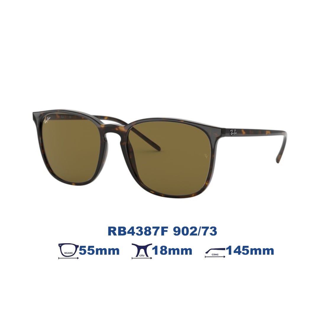 Kính mát RAYBAN RB4387F 902/73