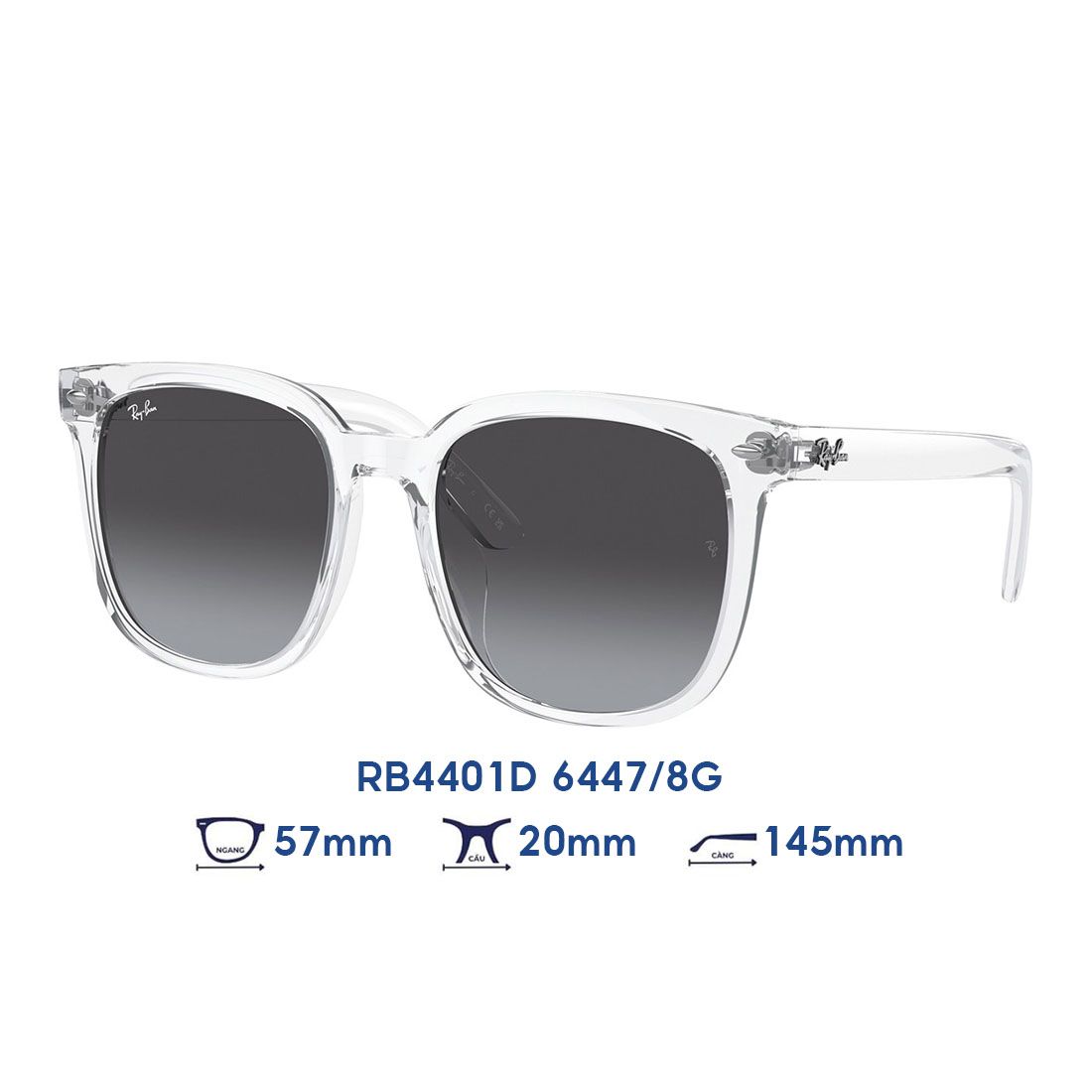  Kính mát RAYBAN RB4401D 6447/8G 