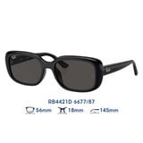  Kính mát Rayban RB4421D 6677/87 