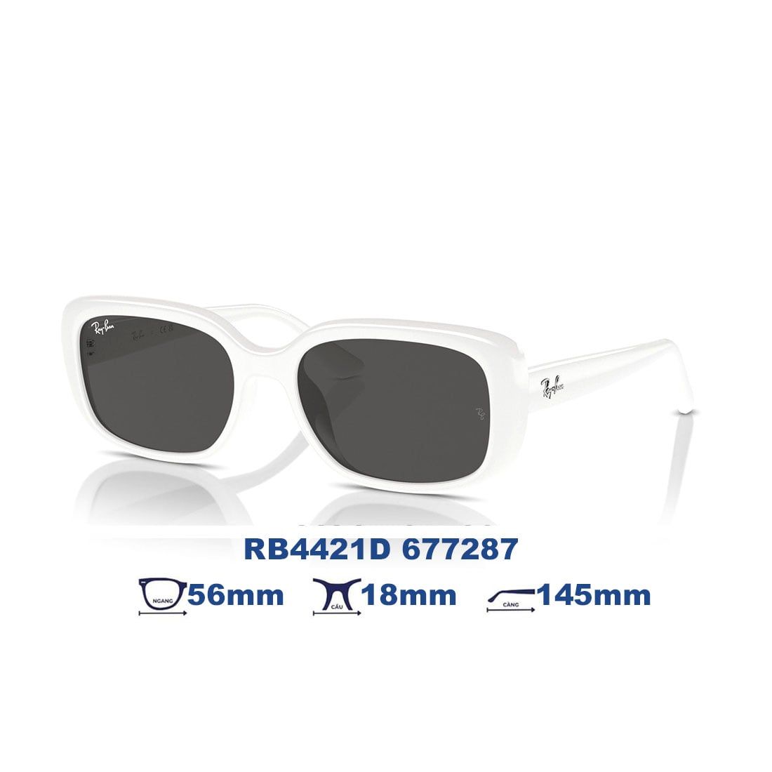  Kính mát RAYBAN RB4421D 677287 