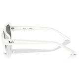  Kính mát RAYBAN RB4421D 677287 