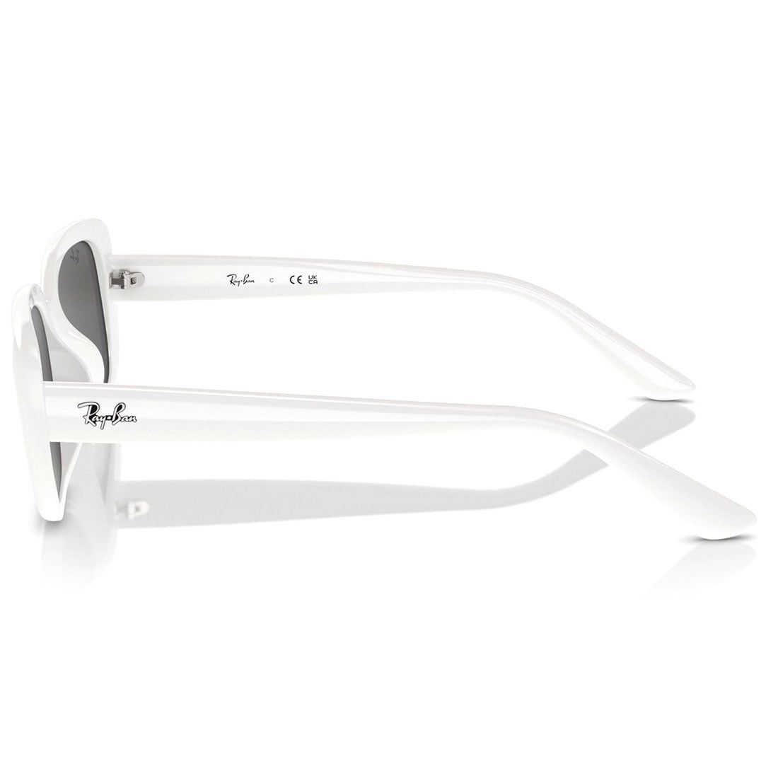  Kính mát RAYBAN RB4421D 677287 