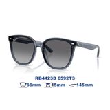 Kính mát RAYBAN RB4423D 6592T3 