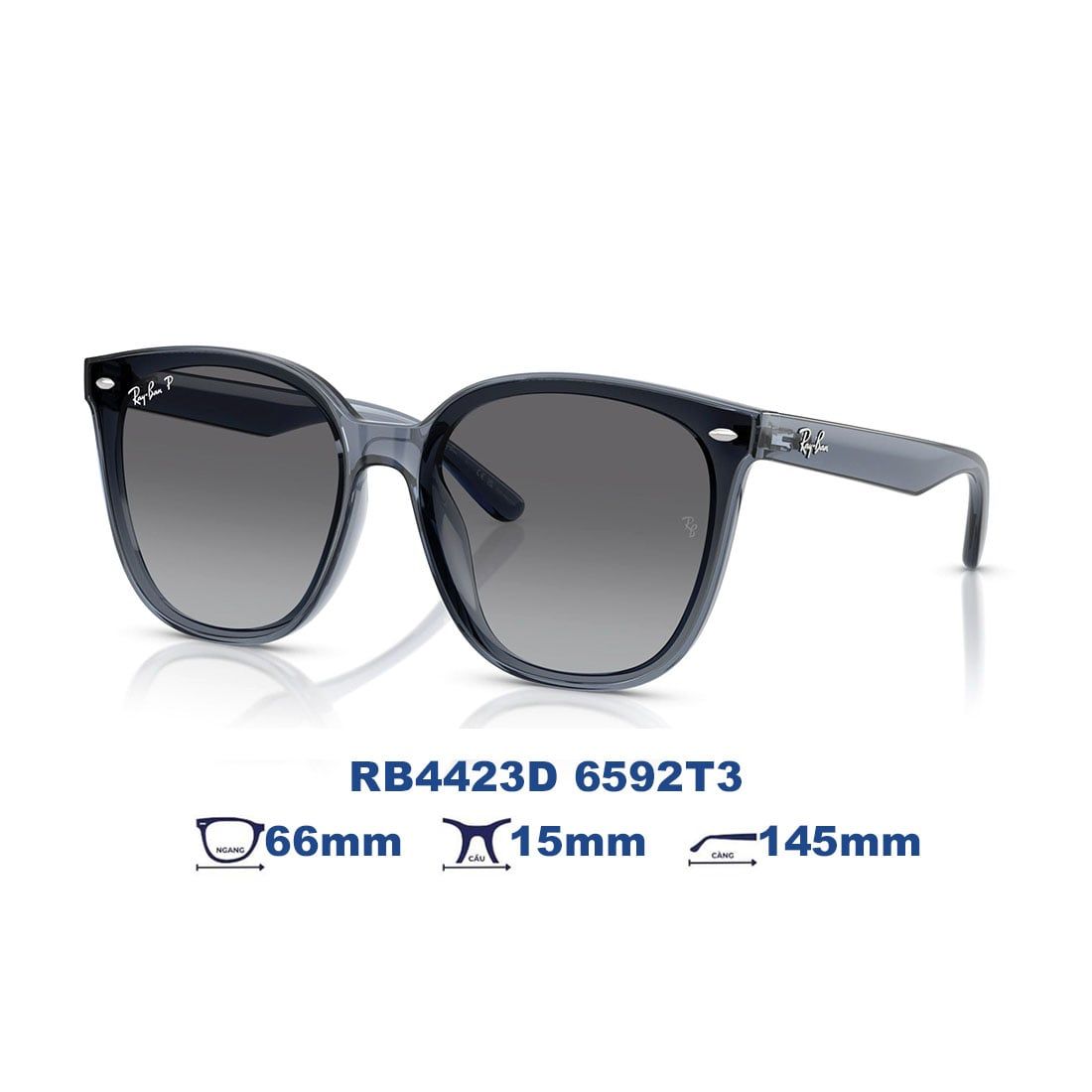  Kính mát RAYBAN RB4423D 6592T3 