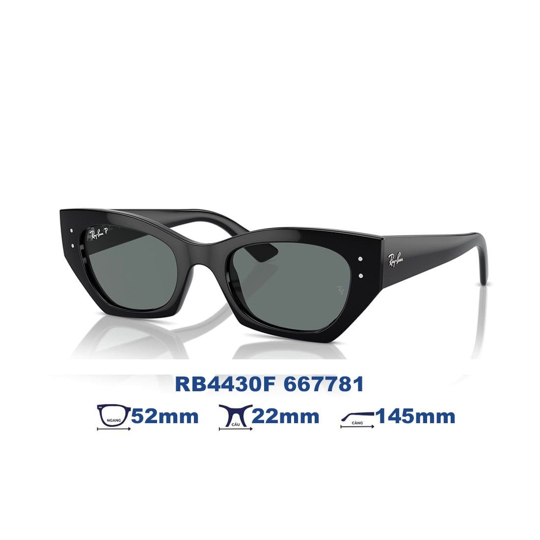  Kính mát RAYBAN RB4430F 667781 