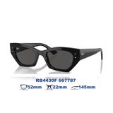  Kính mát RAYBAN RB4430F 667787 