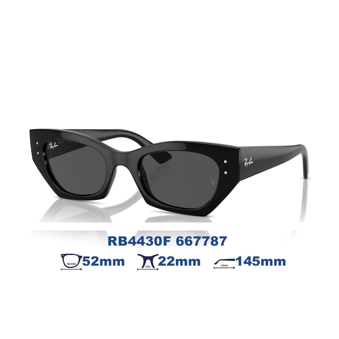 Kính mát RAYBAN RB4430F 667787 