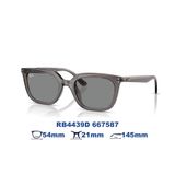  Kính mát RAYBAN RB4439D 667587 
