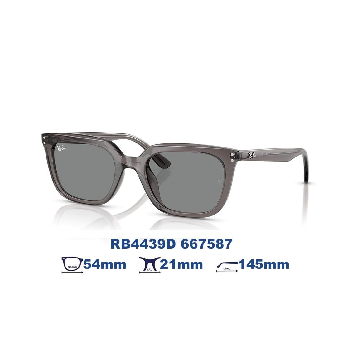  Kính mát RAYBAN RB4439D 667587 
