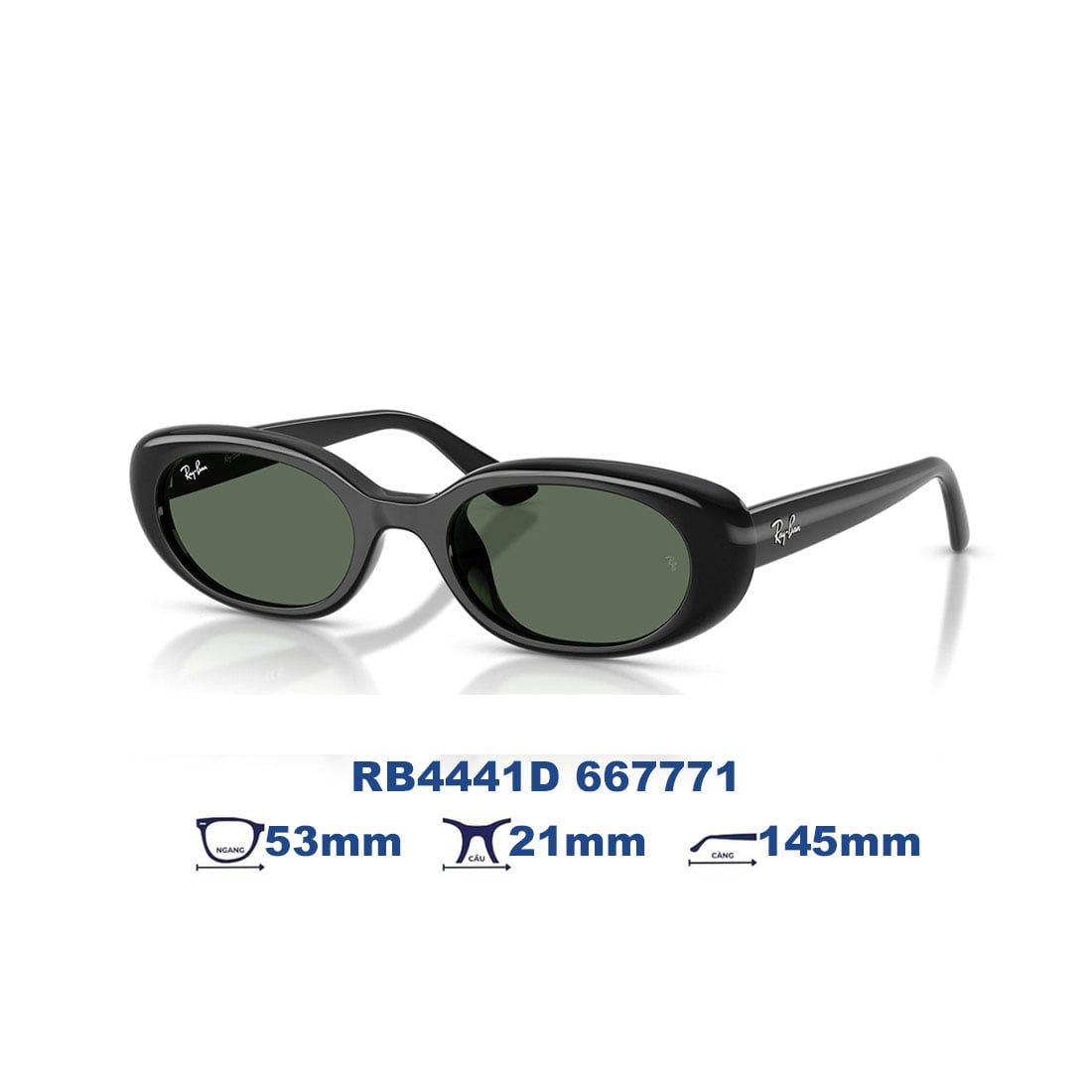  Kính mát RAYBAN RB4441D 667771 