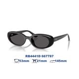  Kính mát RAYBAN RB4441D 667787 