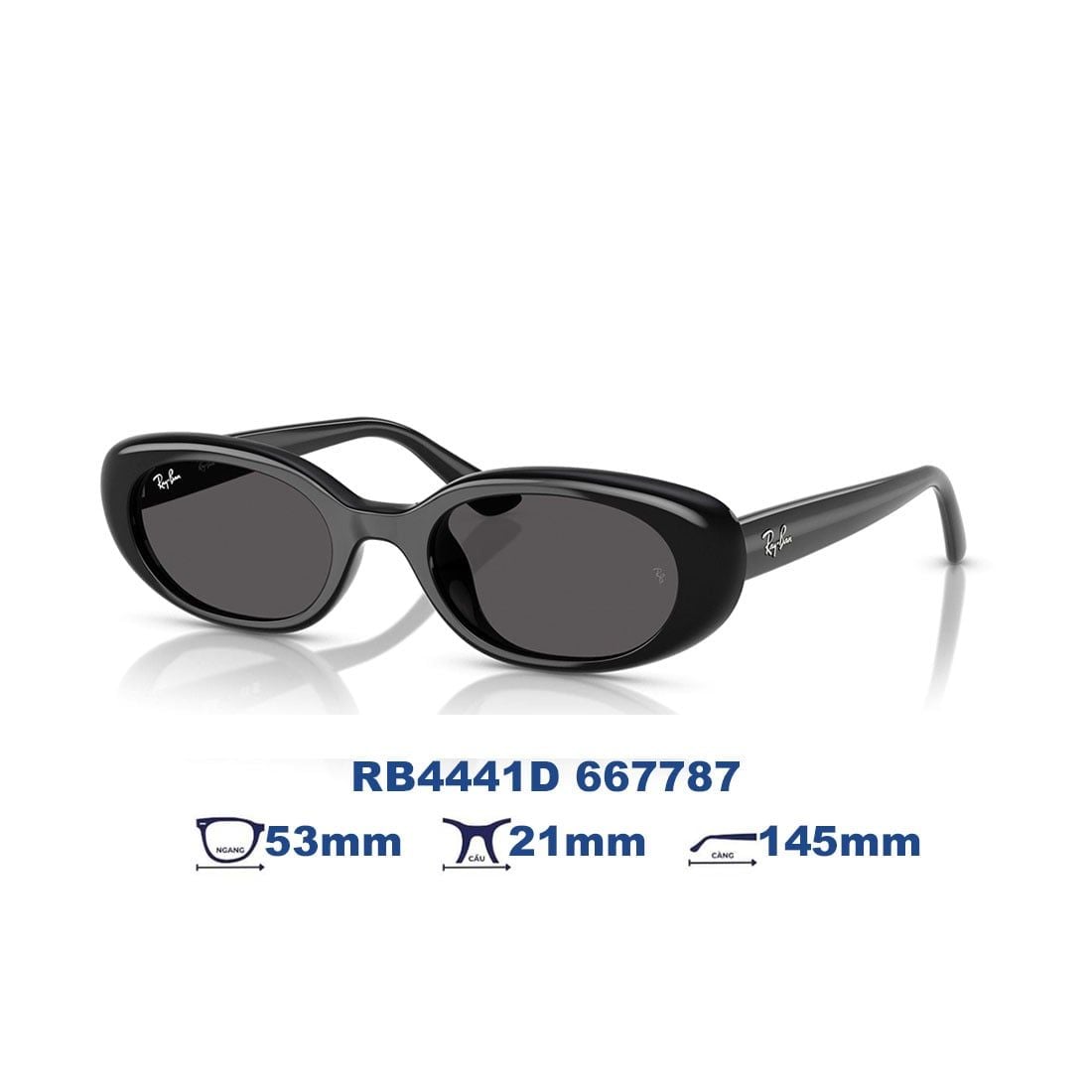  Kính mát RAYBAN RB4441D 667787 