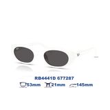  Kính mát RAYBAN RB4441D 677287 