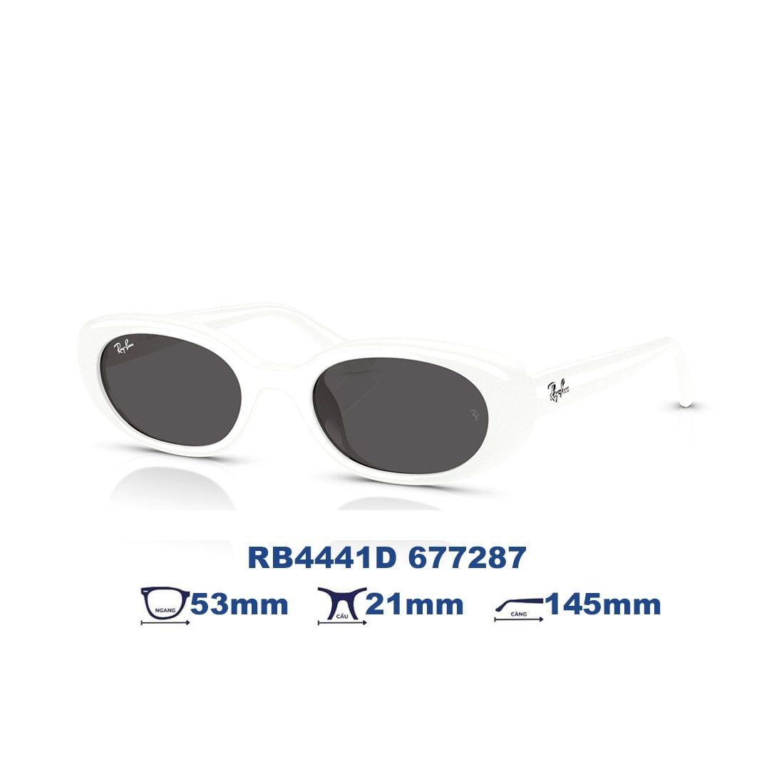  Kính mát RAYBAN RB4441D 677287 
