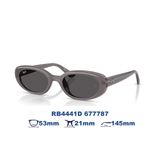  Kính mát RAYBAN RB4441D 677787 