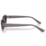  Kính mát RAYBAN RB4441D 677787 