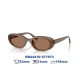  Kính mát RAYBAN RB4441D 677973 