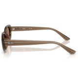  Kính mát RAYBAN RB4441D 677973 