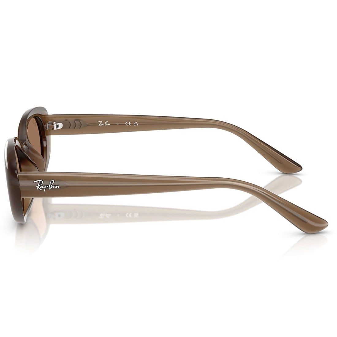  Kính mát RAYBAN RB4441D 677973 