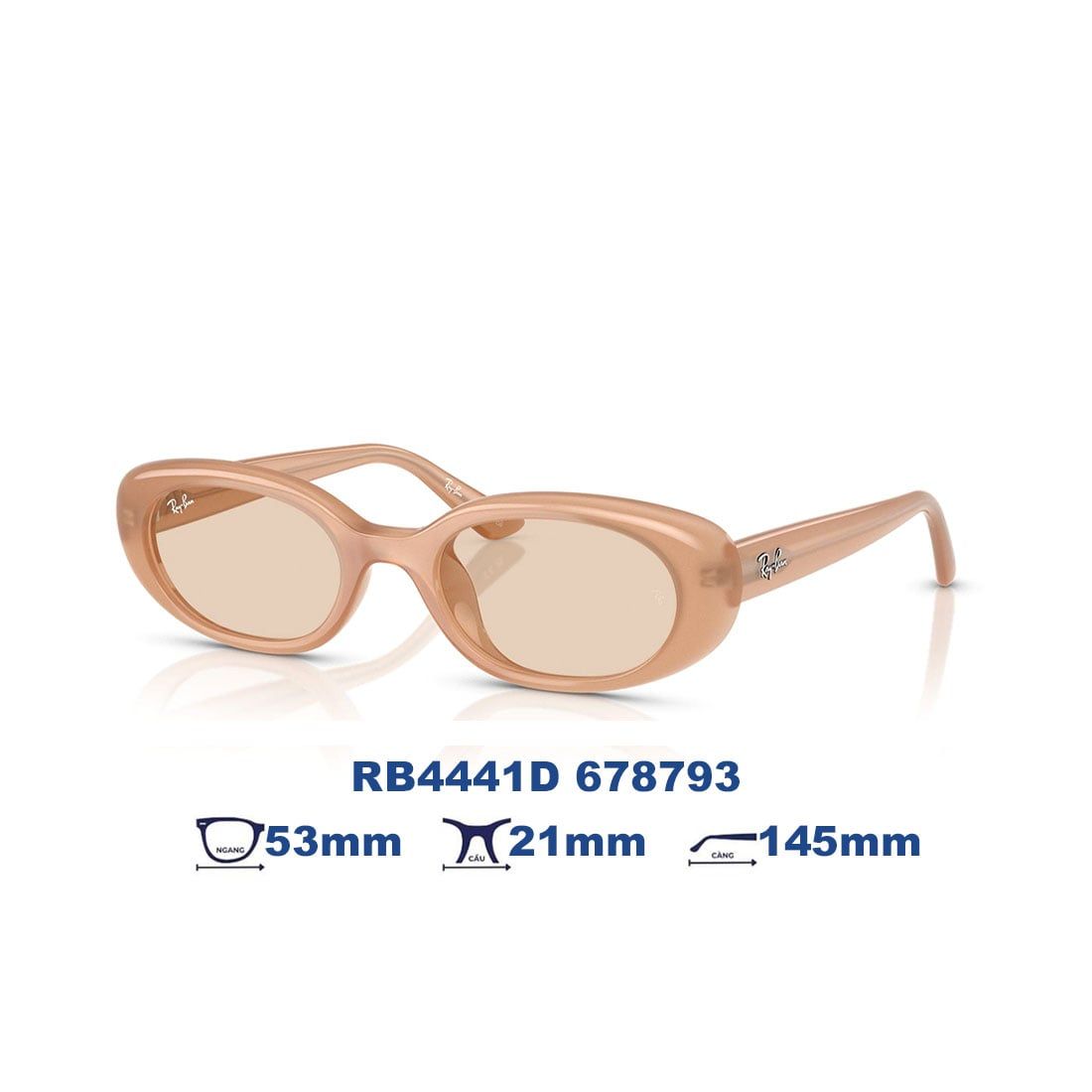  Kính mát RAYBAN RB4441D 678793 
