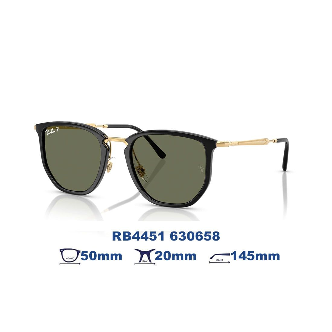  Kính mát RAYBAN RB4451 630658 