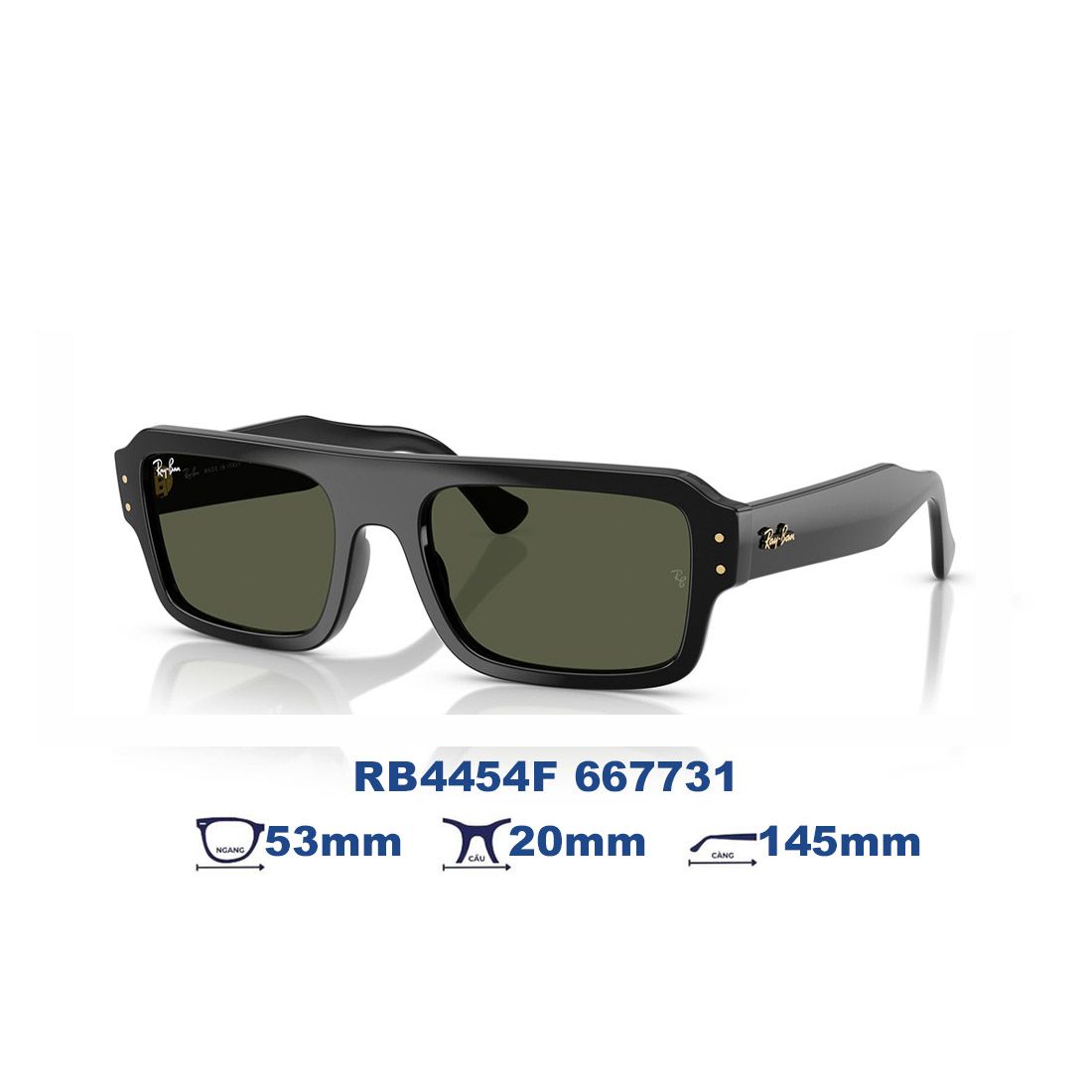  Kính mát RAYBAN RB4454F 667731 